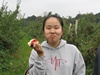 ApplePicking 011